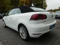 Volkswagen Golf VI Cabrio Cup 1. HD | Navi | SHZ | PDC |AHK Wit - thumbnail 6