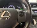Lexus CT 200h Business Line Org.NL! / Dealer Onderhouden / Lexus Grau - thumbnail 33