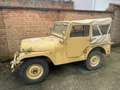 Jeep Willys Beżowy - thumbnail 2