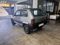 Fiat Panda Panda 1.0 4x4 Doppio Tetto apribile Grigio - thumbnail 4