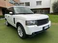 Land Rover Range Rover 4.4 TDV8 Vogue auto Blanc - thumbnail 2