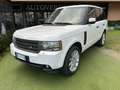 Land Rover Range Rover 4.4 TDV8 Vogue auto Blanc - thumbnail 1