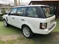 Land Rover Range Rover 4.4 TDV8 Vogue auto Blanc - thumbnail 3