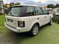 Land Rover Range Rover 4.4 TDV8 Vogue auto Blanc - thumbnail 4