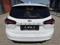 Ford Focus Turnier 1,5 EcoBlue Cool & Connect Aut. Weiß - thumbnail 4