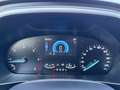 Ford Focus Turnier 1,5 EcoBlue Cool & Connect Aut. Weiß - thumbnail 11