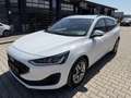 Ford Focus Turnier 1,5 EcoBlue Cool & Connect Aut. Weiß - thumbnail 1