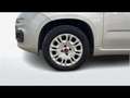 Fiat Panda 1.2 69cv Easy Gri - thumbnail 4