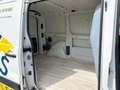 Fiat Scudo 10 L1H1 DPF SX - thumbnail 14