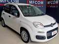Fiat Panda 1.0 hybrid Easy s Bianco - thumbnail 3