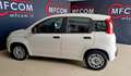 Fiat Panda 1.0 hybrid Easy s Bianco - thumbnail 8