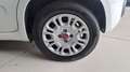 Fiat Panda 1.0 hybrid Easy s Bianco - thumbnail 12