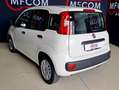 Fiat Panda 1.0 hybrid Easy s Bianco - thumbnail 7