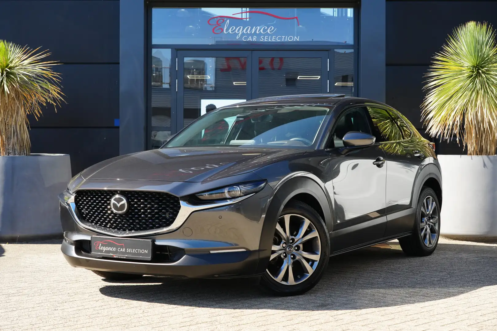 Mazda CX-30 2.0 e-SkyActiv-X M Hybrid Luxury 180pk Schuifdak/N Gris - 1