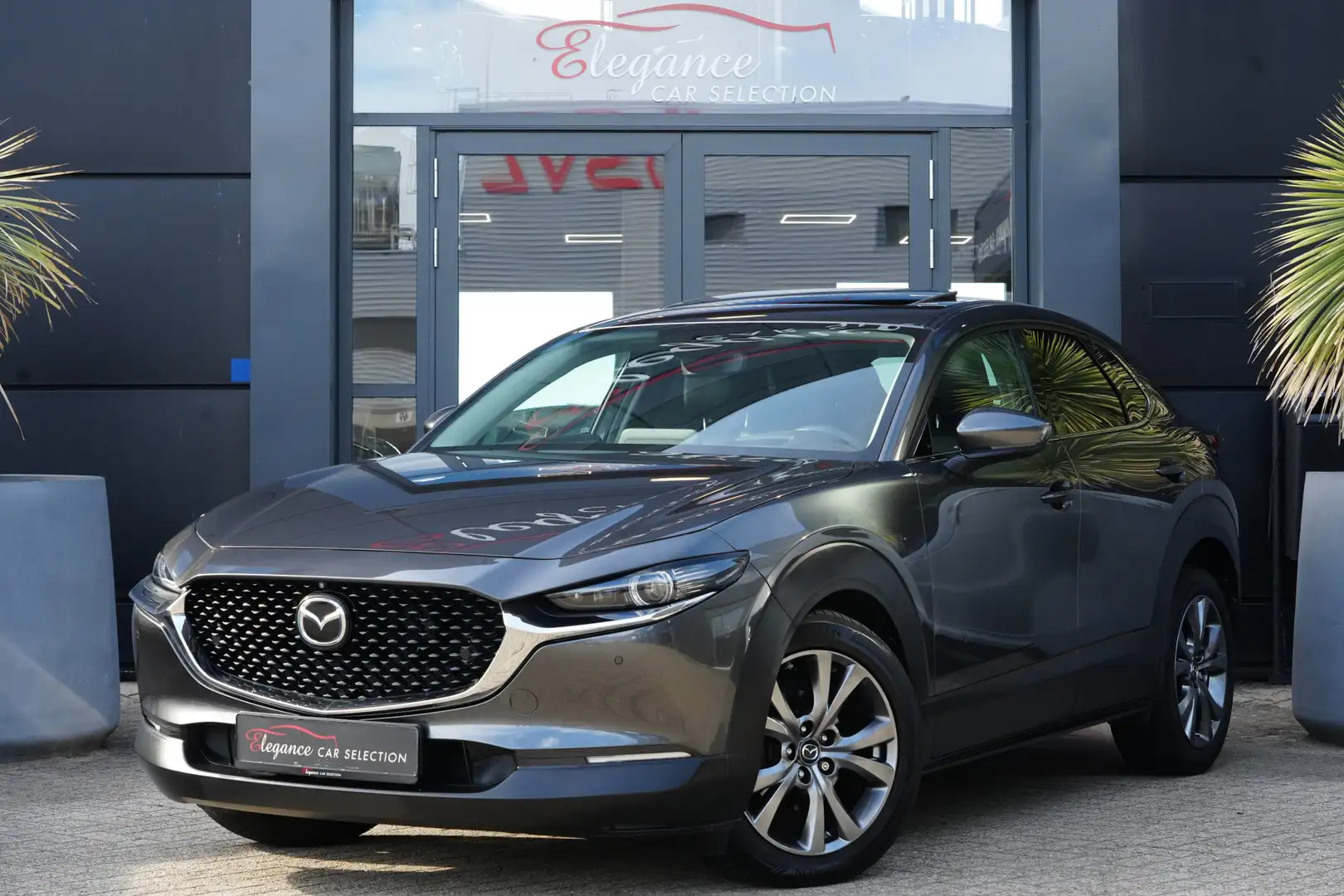 Mazda CX-30 2.0 e-SkyActiv-X M Hybrid Luxury 180pk Schuifdak/N Grijs - 1