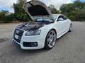 Audi A5 A5 I 2007 Coupe Coupe 2.7 V6 tdi multitronic Bianco - thumbnail 14