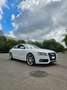 Audi A5 A5 I 2007 Coupe Coupe 2.7 V6 tdi multitronic Bianco - thumbnail 3