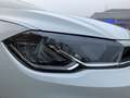 Volkswagen Polo Goal 1.0 TSI DSG, LED*SHZ*PDC*ACC* Weiß - thumbnail 17