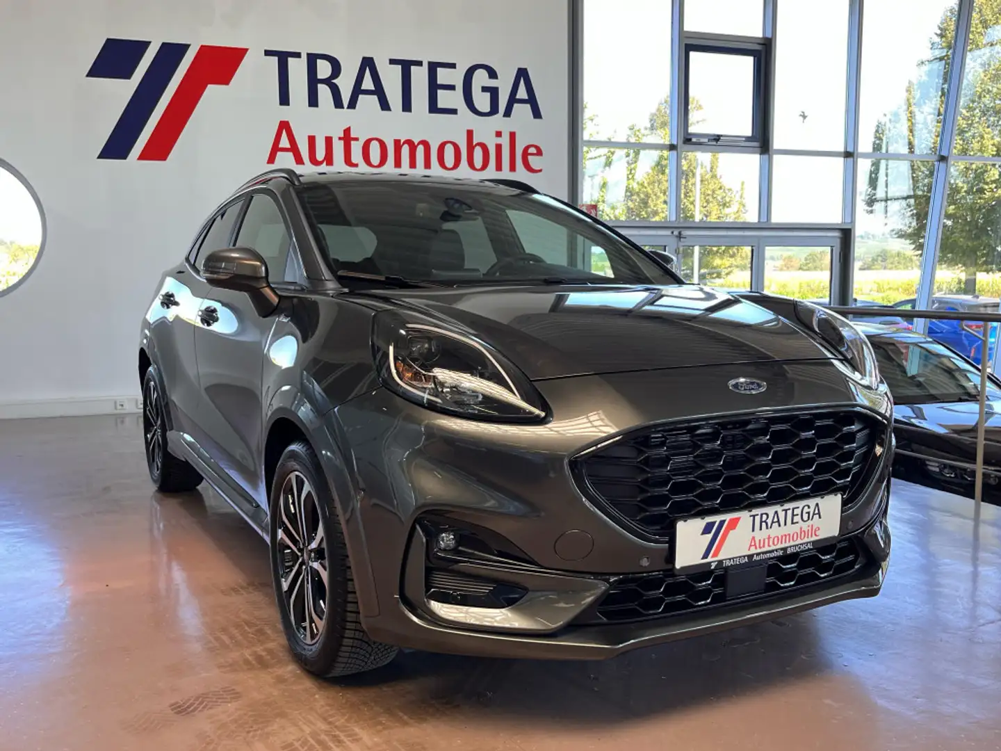Ford Puma ST-Line X B&O ACC Toter-W Kamera GJR LHZ SH Grau - 1