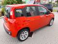 Fiat Panda 1.2 Lounge Red - thumbnail 6