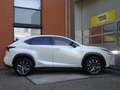 Lexus NX 300h AWD F-Sport *Triple LED/Pano/HUD/Trekhaak* Wit - thumbnail 5