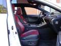 Lexus NX 300h AWD F-Sport *Triple LED/Pano/HUD/Trekhaak* Wit - thumbnail 8