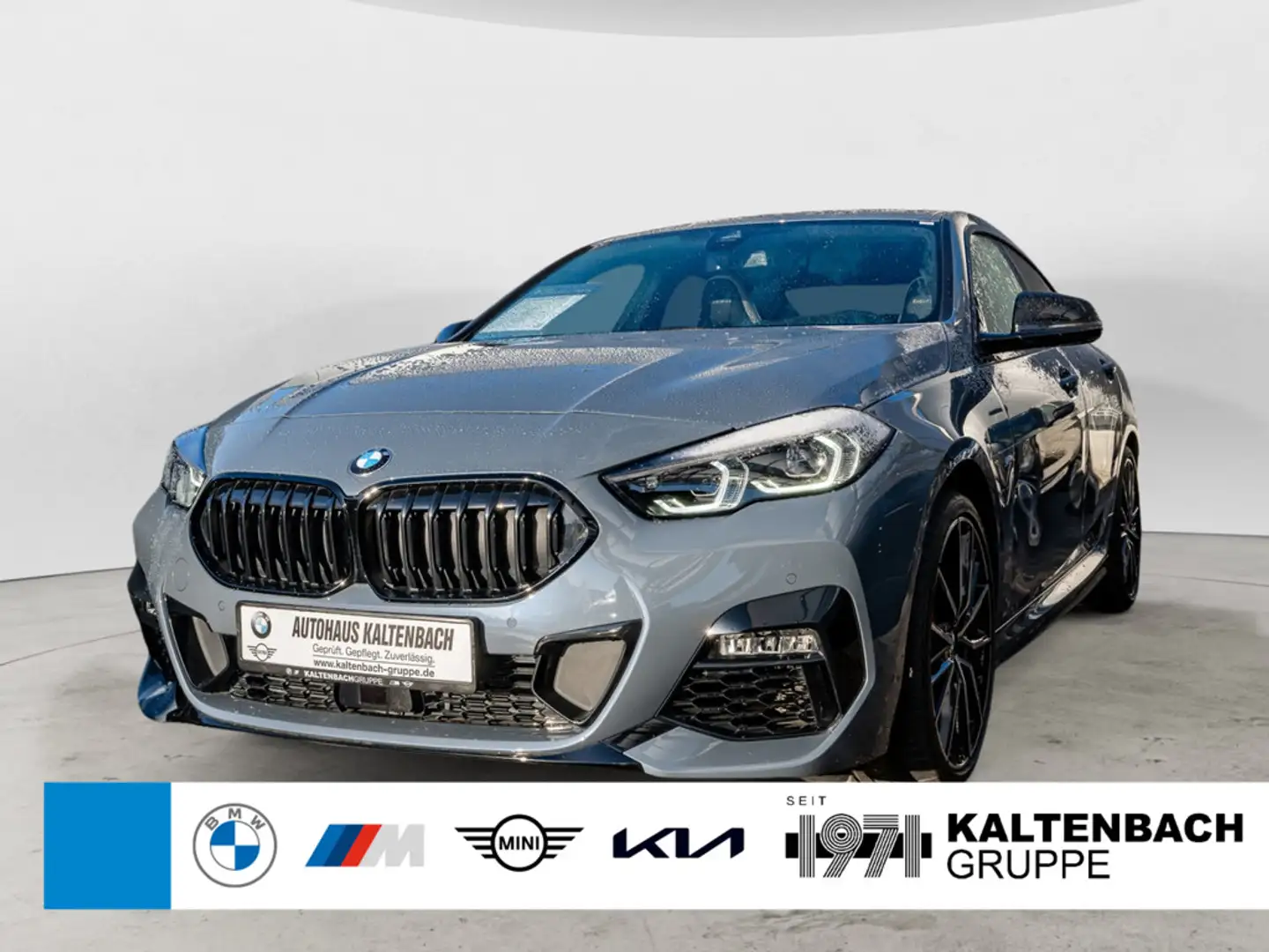 BMW 220 i Gran Coupe Edition ColorVision PANO HUD Gris - 1