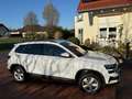 Skoda Karoq Karoq 1.5 TSI DSG Style Weiß - thumbnail 5