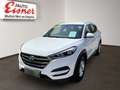 Hyundai TUCSON Hyundai  1.6 Comfort LM, SHZ, TSA, VSM Weiß - thumbnail 2