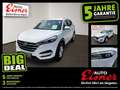 Hyundai TUCSON 1.6 GDI LED LM PDC SHZ Berganfahrhilfe Weiß - thumbnail 1