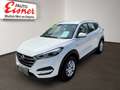 Hyundai TUCSON 1.6 GDI LED LM PDC SHZ Berganfahrhilfe Weiß - thumbnail 3