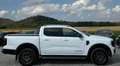 Ford Ranger 4-WD WILDTRAK - CUIR - CAMERA 360 - FULL OPTIONS Wit - thumbnail 5