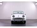 Triumph TR3 A 2.0 Weiß - thumbnail 2