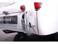 Triumph TR3 A 2.0 Weiß - thumbnail 36
