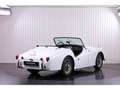 Triumph TR3 A 2.0 Weiß - thumbnail 6