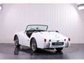 Triumph TR3 A 2.0 Weiß - thumbnail 8