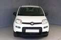 Fiat Panda 1.0 FireFly S&S Hybrid Bianco - thumbnail 1