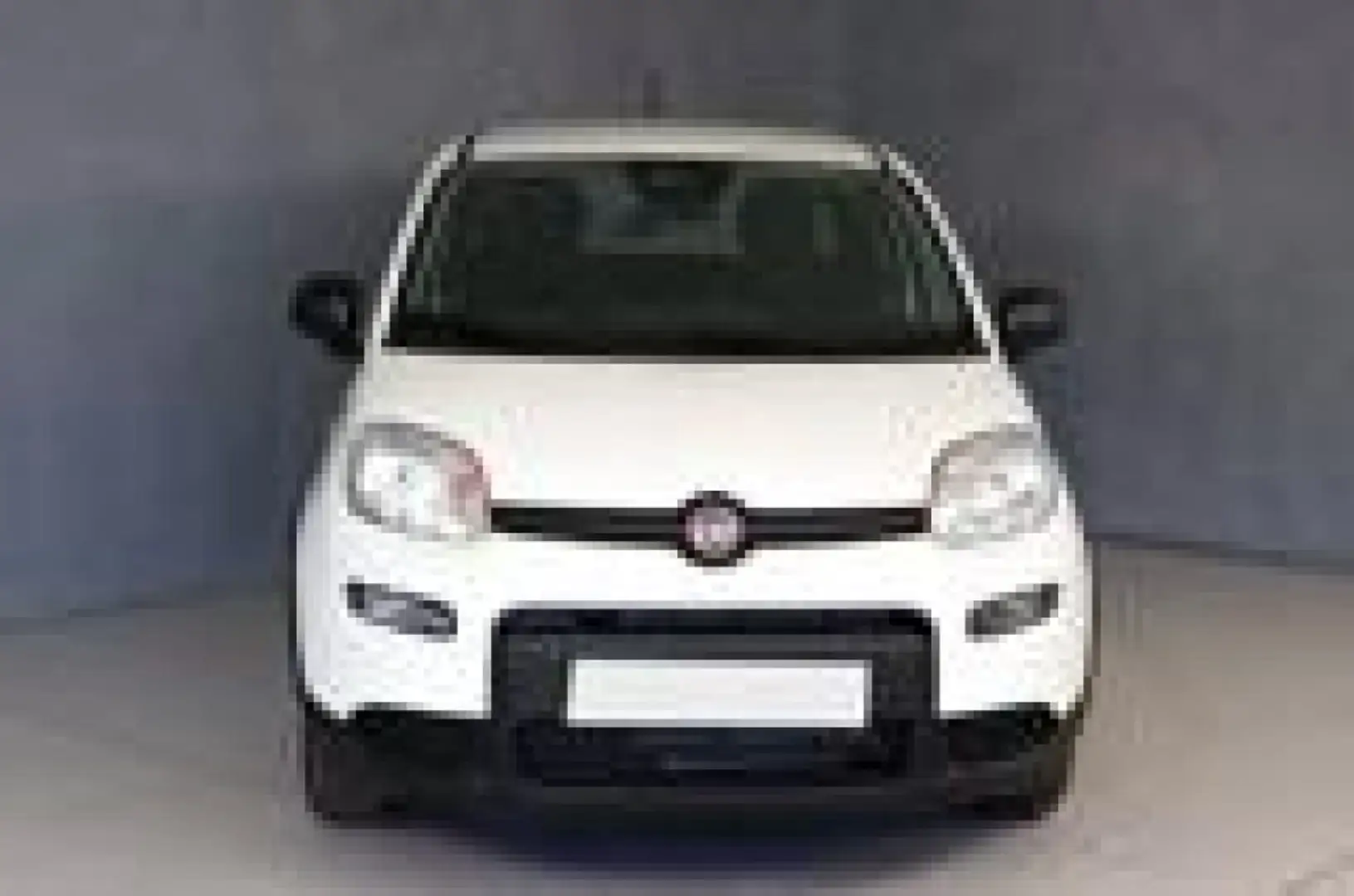 Fiat Panda 1.0 FireFly S&S Hybrid Bianco - 1