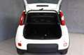 Fiat Panda 1.0 FireFly S&S Hybrid Bianco - thumbnail 3