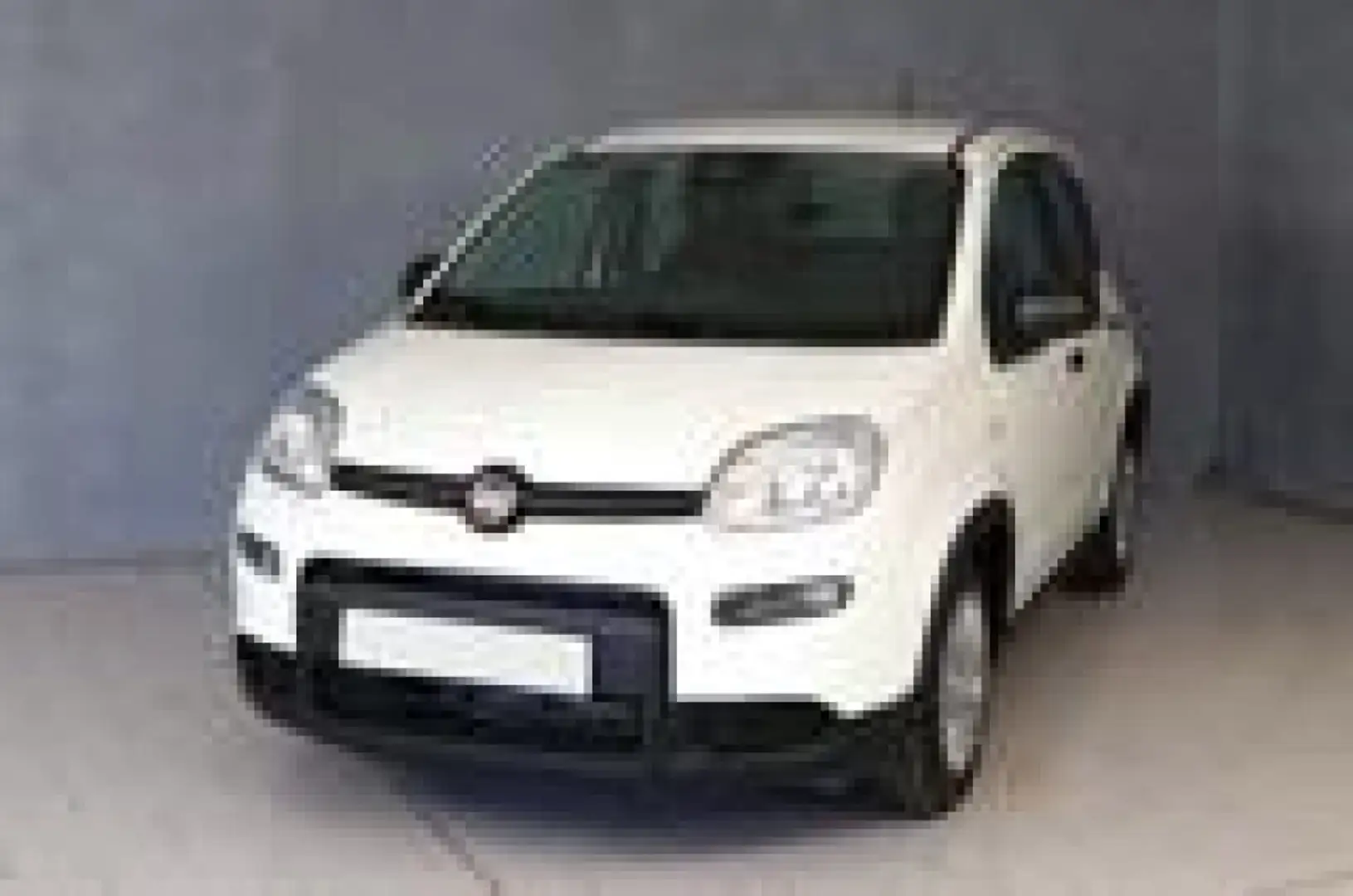 Fiat Panda 1.0 FireFly S&S Hybrid Bianco - 2