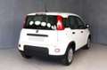 Fiat Panda 1.0 FireFly S&S Hybrid Bianco - thumbnail 4