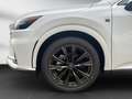Lexus RX 350h h*F-Sport-D*PANO*360CAM* SOFORT*15J.Garantie Weiß - thumbnail 21
