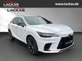 Lexus RX 350h *4X4*F-Sport Design*PAN O*SOFORT*15J.Garantie* Bianco - thumbnail 7