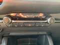 Mazda 3 Mazda3 e-Skyactiv-G122 Comfort+ Rot - thumbnail 14