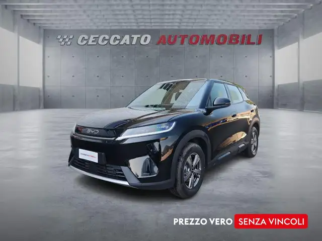 BYD Atto 2 Atto 2 DM-i 1.5 phev Active 165cv
