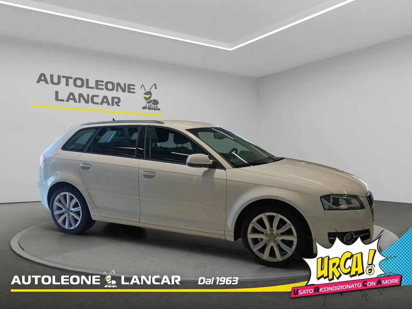 Audi A3 Sportback 1.6 TDI Ambition 105cv Blanc - 1