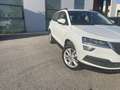 Skoda Karoq 1.6 tdi scr Executive dsg - thumbnail 14