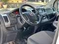 Fiat Ducato Ducato 290 Panorama 30 E6 2018 9 Posti Iva Esposta Bianco - thumbnail 9
