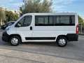 Fiat Ducato Ducato 290 Panorama 30 E6 2018 9 Posti Iva Esposta Bianco - thumbnail 8