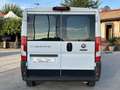 Fiat Ducato Ducato 290 Panorama 30 E6 2018 9 Posti Iva Esposta Bianco - thumbnail 6